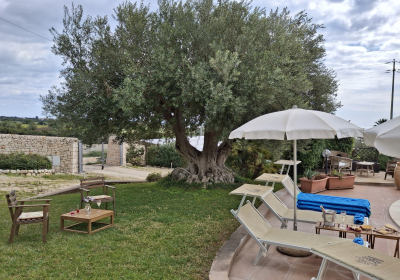 Casa Vacanze Appartamento L'oasi Del Mediterraneo